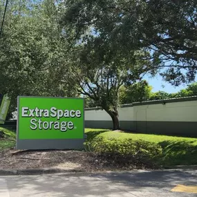 Alternate Beauty Image