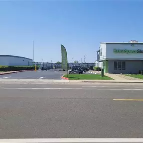 Alternate Beauty Image