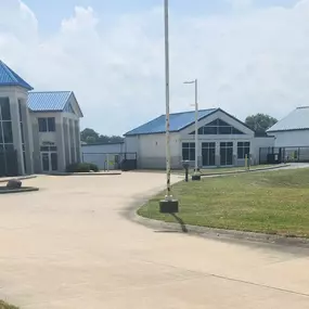 Alternate Beauty Image