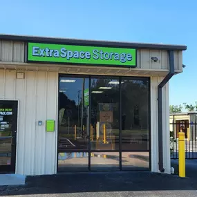 Alternate Beauty Image