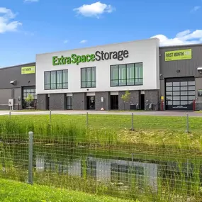 Alternate Beauty Image