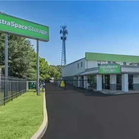 Alternate Beauty Image