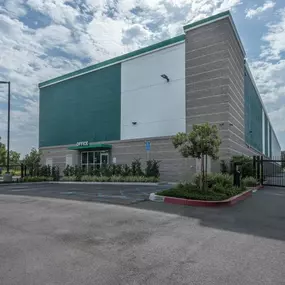 Alternate Beauty Image