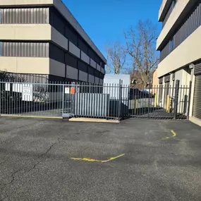 3773_Alternate Beauty Image