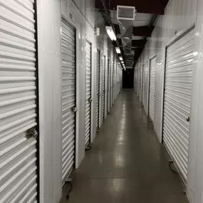 3598_Wine Storage