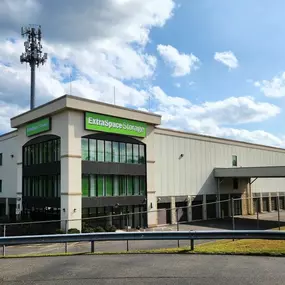 Alternate Beauty Image