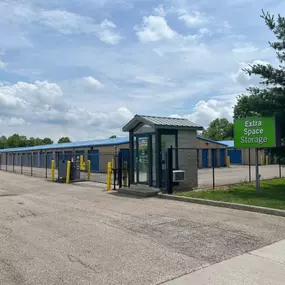 Alternate Beauty Image