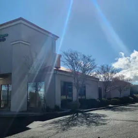 3561_Alternate Beauty Image