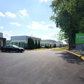 Alternate Beauty Image