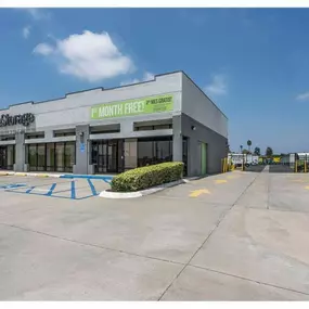 Alternate Beauty Image