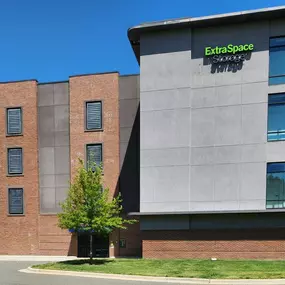 Alternate Beauty Image