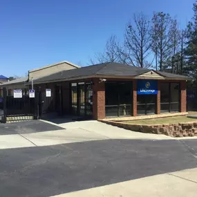 Alternate Beauty Image