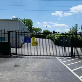 Alternate Beauty Image