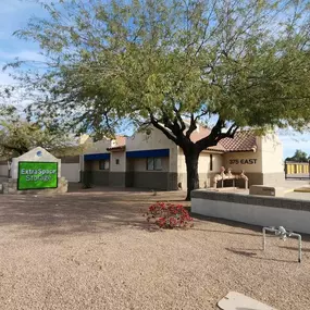 Alternate Beauty Image