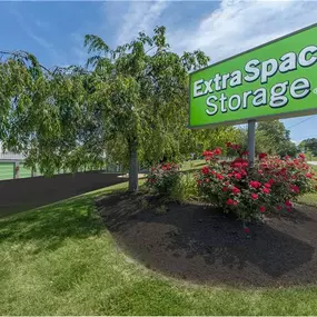 Alternate Beauty Image