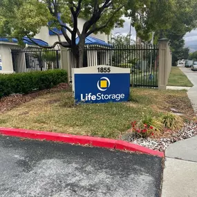 3560_Alternate Beauty Image