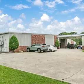 Alternate Beauty Image