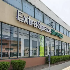 Alternate Beauty Image