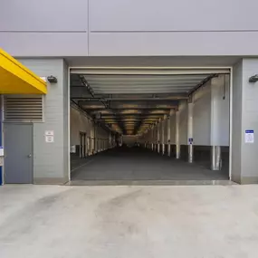 Alternate Beauty Image