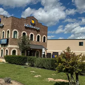 Alternate Beauty Image