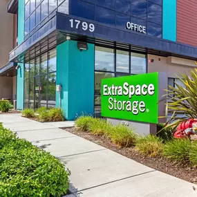 7976 - Alternate Beauty Image