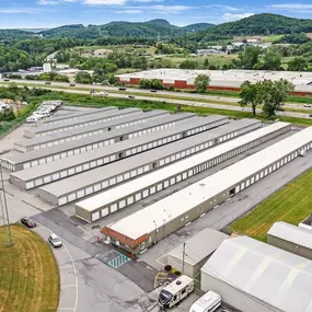 6202 - Alternate Beauty Image