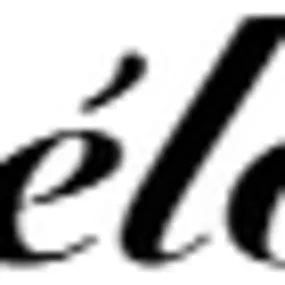 Bild von Schenker Velos