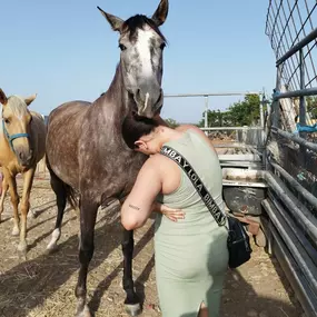 Bild von Vinculatea Equinoterapia Jaén
