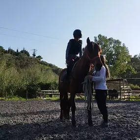 Bild von Vinculatea Equinoterapia Jaén