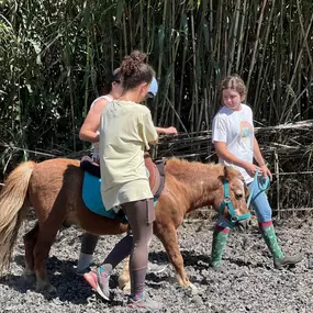 Bild von Vinculatea Equinoterapia Jaén