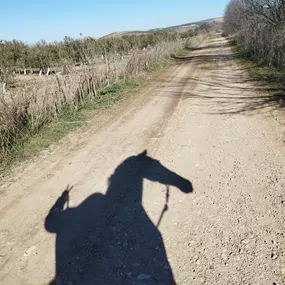 Bild von Vinculatea Equinoterapia Jaén