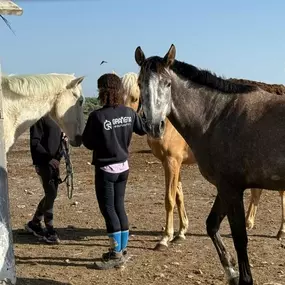 Bild von Vinculatea Equinoterapia Jaén