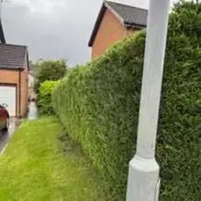 Bild von LTM Property Maintenance