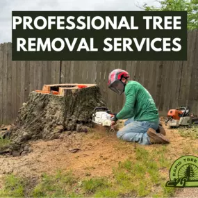 We offer professional tree removal services in the Philadelphia area.