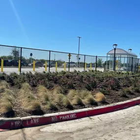 Bild von Plant Care, Commercial Landscape Maintenance