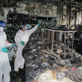 Bild von Water Mold Fire Restoration & Plumbing of Fort Lauderdale