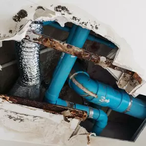 Bild von Water Mold Fire Restoration & Plumbing of Fort Lauderdale