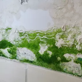 Bild von Water Mold Fire Restoration & Plumbing of Fort Lauderdale