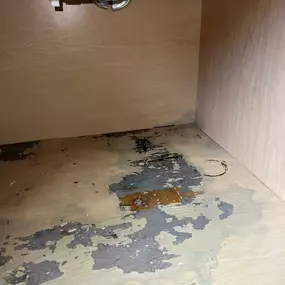 Bild von Water Mold Fire Restoration & Plumbing of Fort Lauderdale