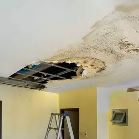 Bild von Water Mold Fire Restoration & Plumbing of Fort Lauderdale