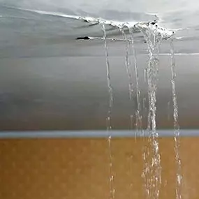 Bild von Water Mold Fire Restoration & Plumbing of Fort Lauderdale
