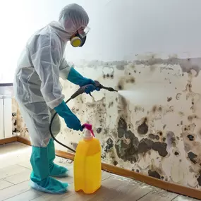 Bild von Water Mold Fire Restoration & Plumbing of Fort Lauderdale