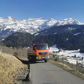 Bild von Von Grünigen Combustibles SA