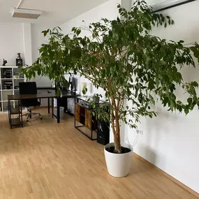 Bild von Versicherungen & Finanzierung Fürth  Gracjan Sojka  FrankenVersichert.de