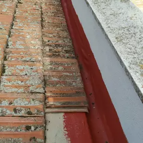 229697917-1-7EMR7fQh0R1640628949892.jpeg