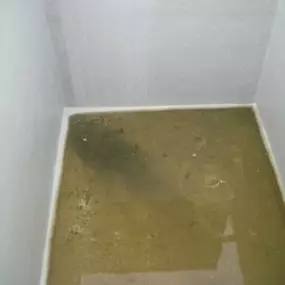 229697917-1-7EMR7fQh0R1643024143729.jpeg