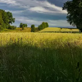 Landschaftsfotografie - Photo-Martin - Fotograf in Chemnitz