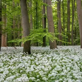 Naturfotografie - Photo-Martin - Fotograf in Chemnitz