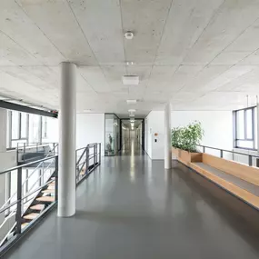 Foto und Filmproduktion Laila Tkotz Heller Gang mit Pflanzen und moderner Innenarchitektur in Bürogebäude