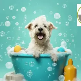 Bild von Spot Pet Care